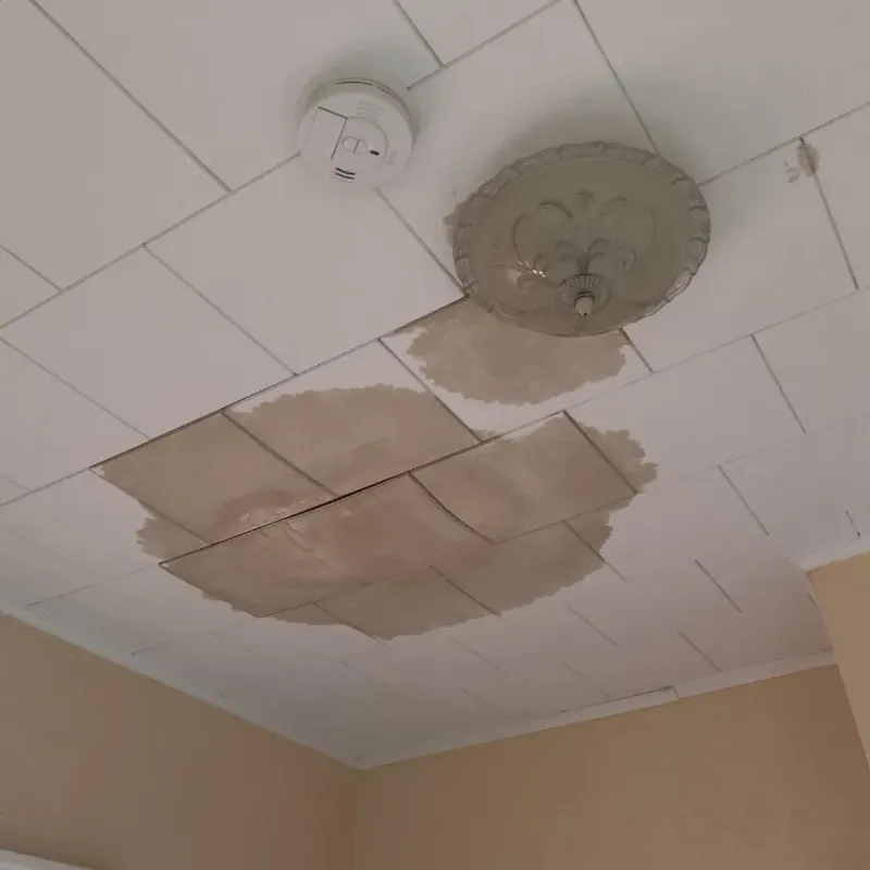 Ceiling Water Damage Repair in Highland, IN