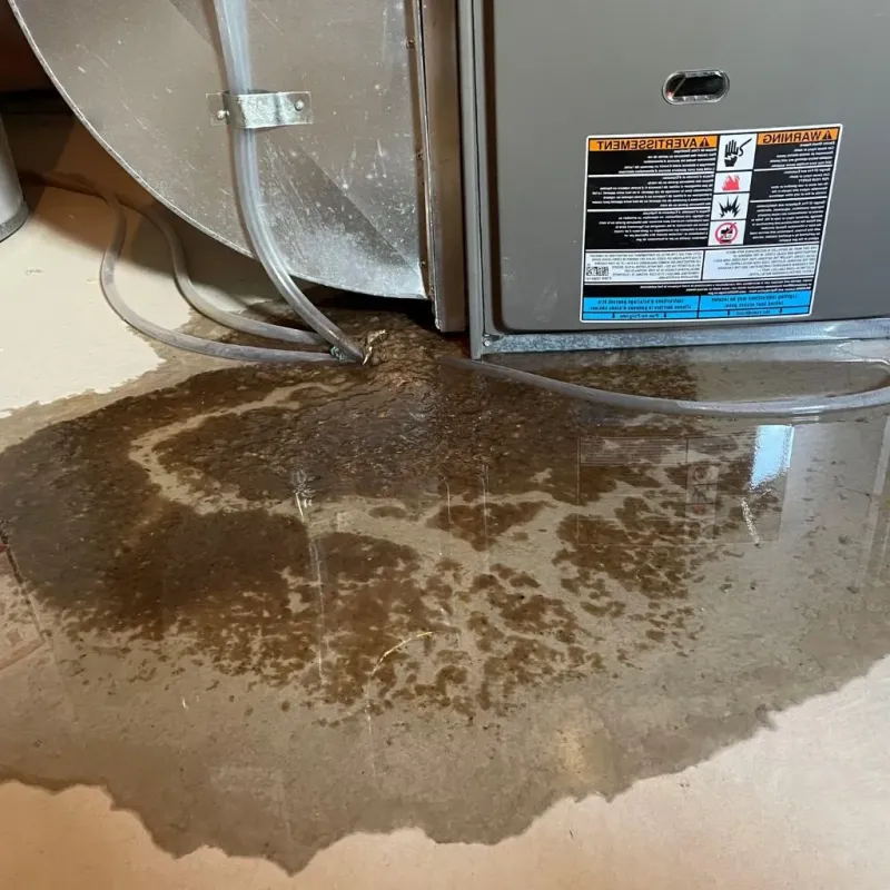 Pipe Burst and Leak Restoration in Highland, IN