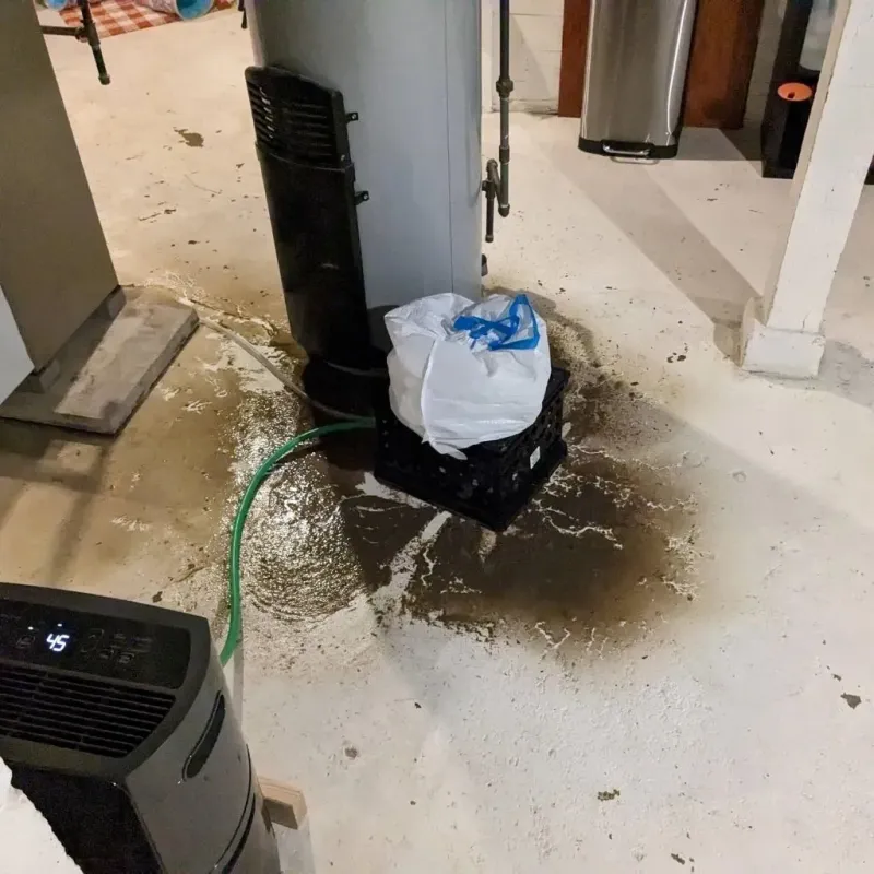 Sewage Backup Cleanup Service in Highland, IN